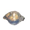 Transparent Conch Scented Candle Star Sea Bedroom High-end Home Ornament