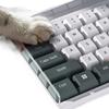 Transparents 104-108Keys Keyboards Protectors Acrylic Dustproof Cover AntiSpill Design For Mechanical Keyboards Work Gaming Setups