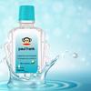 Paul Frank Cooling Peppermint Essential Oil (3x6ml Set)