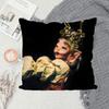 1 PZ Federa Cuscino Album Melanie Martinez Gioco Caldo Decorazione Divano Casa Stampa Double-sided Peluche Corto Carino Copricuscino
