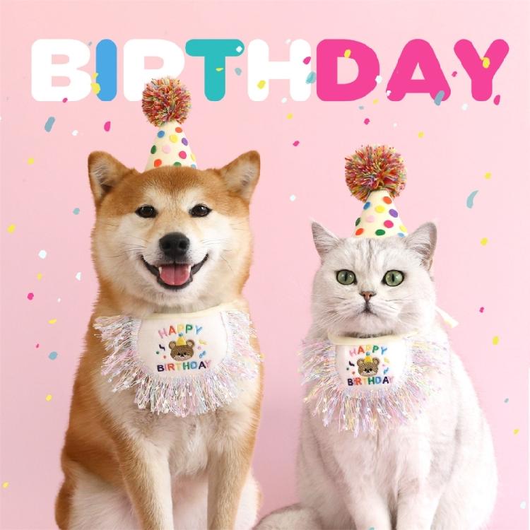 Dogs Birthday Hat with Bandanas for Outdoor Photography Keep Your Dogs Fashion