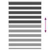 Double Zebra Blind Black 100x150 cm Fabric Width 95.9 cm Polyester