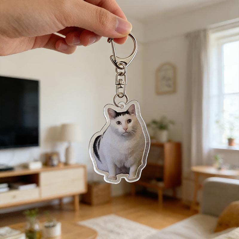 1PC Acrylic Cute Keychains Cats 2D Flat Backpack Ornament Accessories Cat Key Rings Creative Animal Key Holders Funny