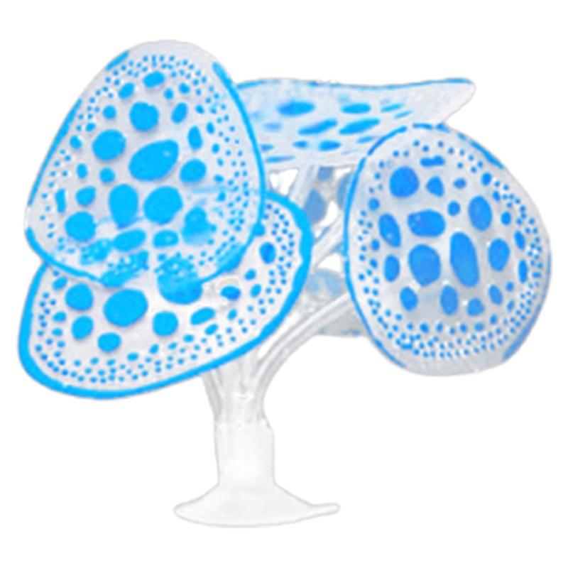 Set aus 4 fluoreszierenden Korallenmoos-Aquariendekorationen in leuchtenden Farben mit lebensechten Details, sicheren und farbintensiven Landschaften