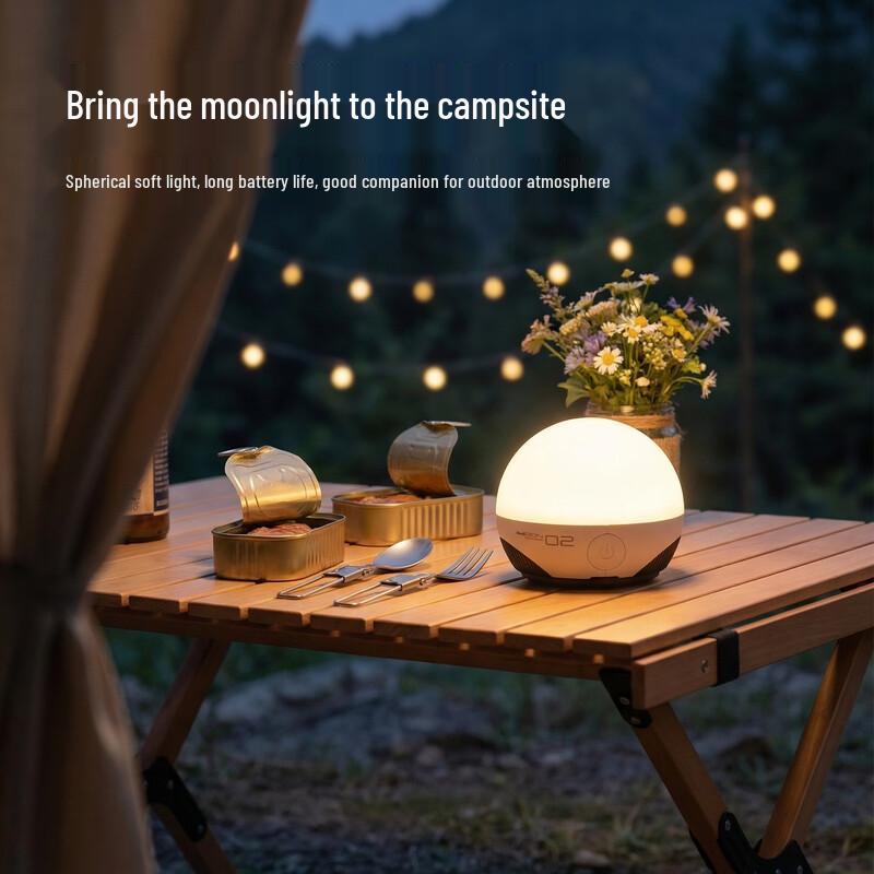 

Yuan Li Chang C02-B Portable Multifunction Lamp