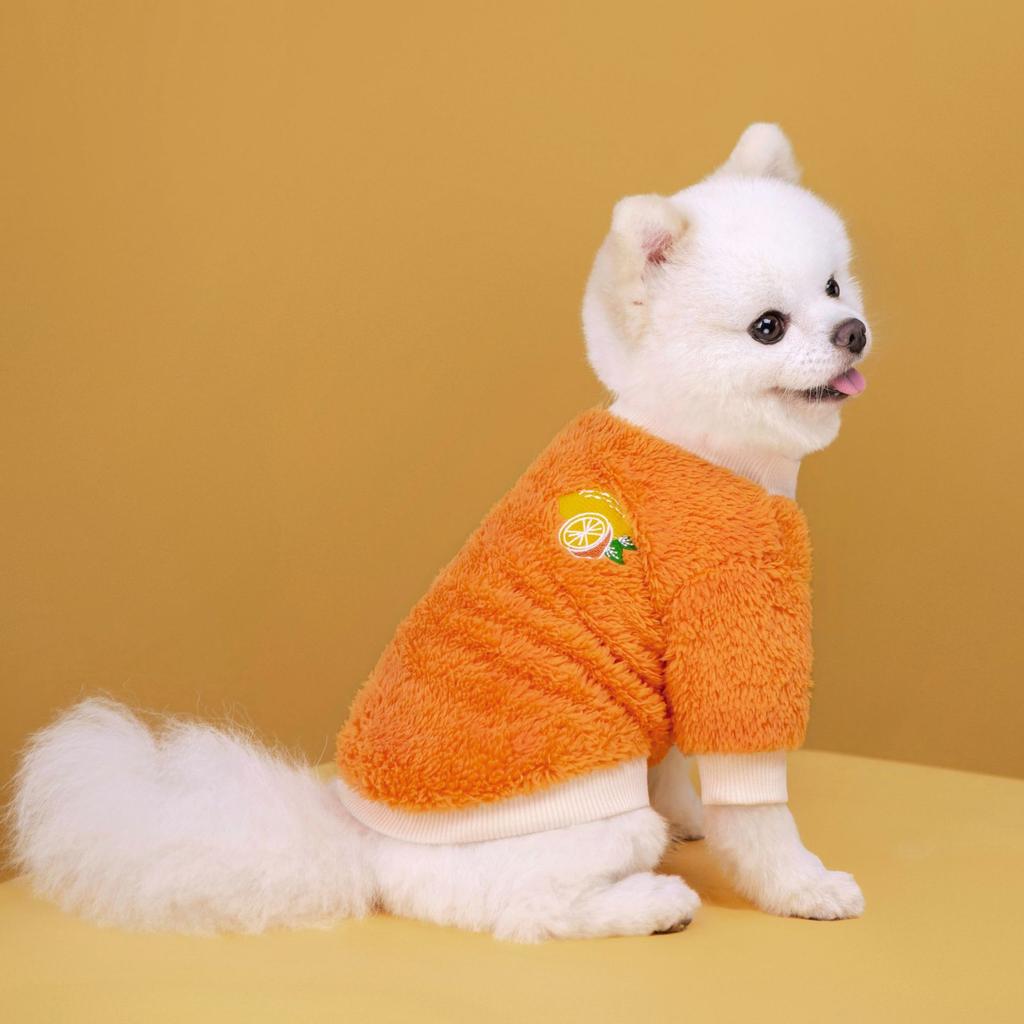 Thickened Coral Fleece Pet Clothes Warm Winter Wear Fruit Print Cats Dogs Apparel Universal Size Soft Lightweight Puppy Clothing
