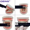 Dental Precision Measuring Ruler Tooth Gap Photography Dentistry Gauge Span Measure Scale Endodontic Instrument Orthodontic Tool