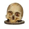 Simulated Skeleton Knife Stand Dilapidated Fruit Storage Rack Skull Knife Holder  Gift