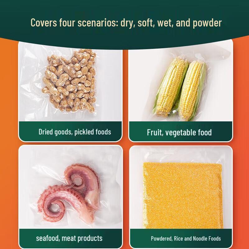 Deli Dual-Pump Automatic Vacuum Sealer CN plug (adapter included)