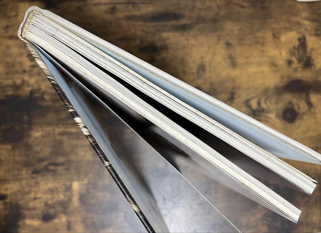 [USED] VII - David Beckham Beckham Photo Book