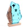 8inch Divers Lamp Solid Wood Resin Unique Detachable LED 5V Ocean Light Lamp for Decoration Gift