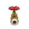 Emiko PPR Hot/Cold Water Gate Valve with Copper Core - 25 Pipe 7650