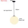 Dining Room Hanging Lamp Globe Glass Ball Pendant Light Ceiling Chandelier Living Room Bedroom Lamp Cafe Study Room Kitchen Home