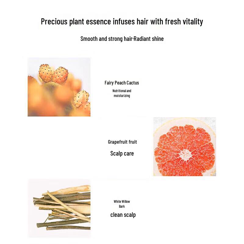 Little Red Elephant Boy's Amino Acid Shampoo (3-Pack)