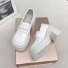 Small Leather Shoes Women's Super High Heel 2025 Spring New Heightening British Style Single Shoes Platform Thick Heel Loafers Women