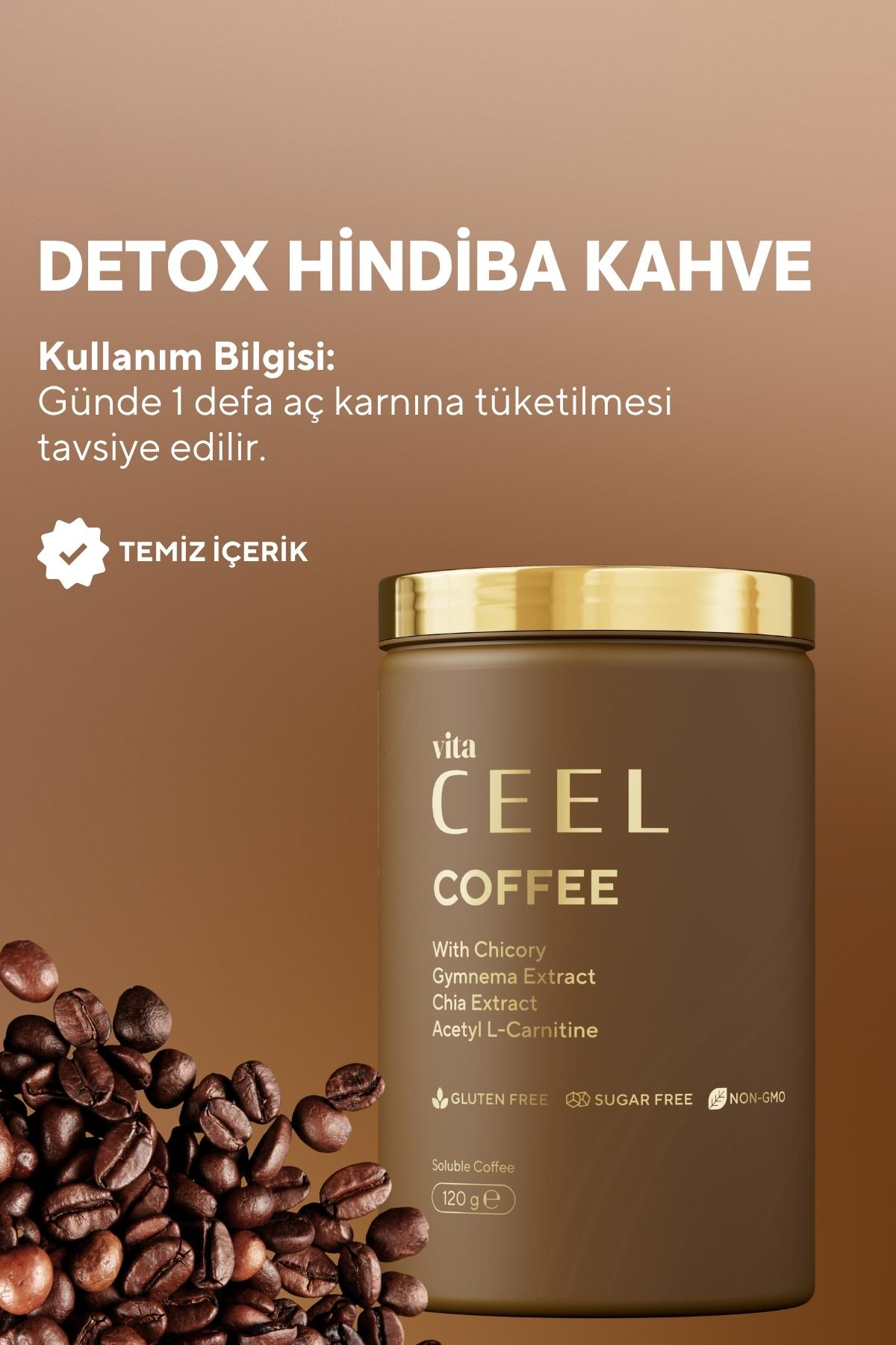 

Vita Ceel Chicory Coffee with Gymnema, Chia Extract, and L-Carnitine - Detox Coffee, Smooth Taste - 120 g 1 PRC