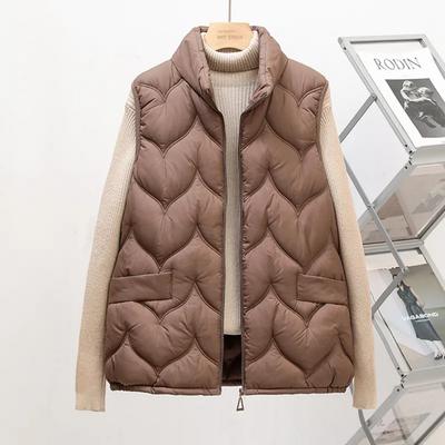 Autumn and Winter Warm Vest Short Stand-up Collar Thickened Lightweight Down Cotton Ladies Jacket Vest