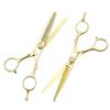 Gold Gem Hairdressing Scissors: 5.5" & 6.0" Straight & Thinning Shears for Barbers and Bangs