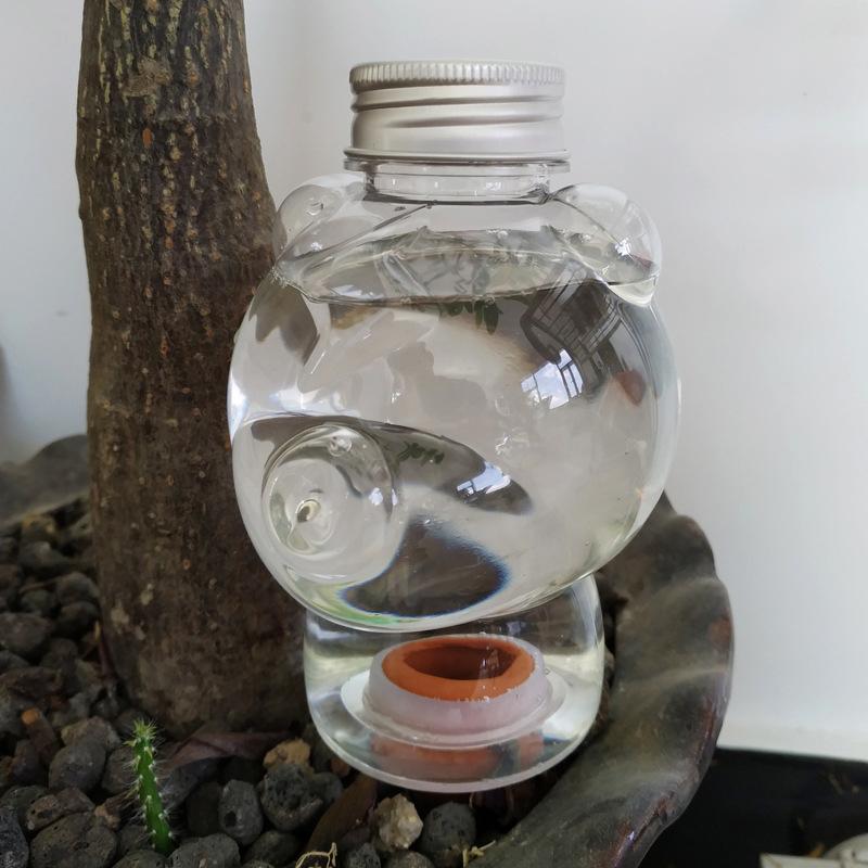 Plantevanner Selvvanningskuler Selvvanningspigger Plante Innendørs & Utendørs