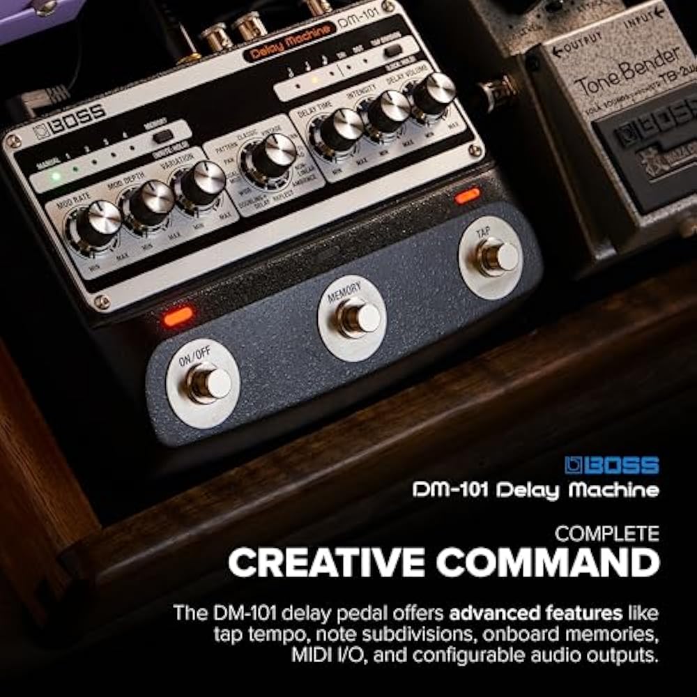 BOSS/DM-101 Delay Machine Delay Boss DM101 Analog Delay