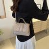 2024 New Style Spring Shoulder Bag Chic Chain Crossbody Bag Simple Personality Handbag Women's Bag