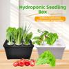 Household Hydroponics Growing Box 6 Holes Indoor Cultivation System with Water Circulation for Better Root Health