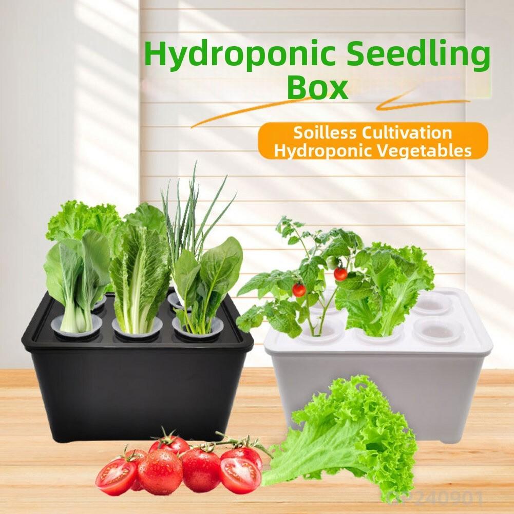 Hydroponics Growing Box 6 Holes Indoor Cultivation System for Household Plants with Sunlight Simulation Feature