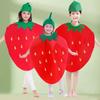 Pumpkin Fruit Vegetable Kids Costume Soft Cloak for Halloween School Performance Role Play Stage Party Christmas Decor