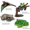 Calorata Frog 3D Encyclopedia Frogs with Realistic Figures Birthday Gift Sanitation Law Figure Box Christmas Gift (16 Instructions) (Educational Toys)