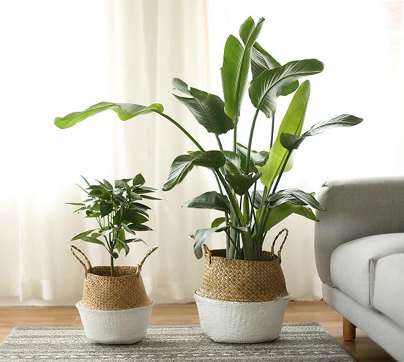 Foldable Woven Straw Flower Basket: Creative Indoor Storage & Decor for Home or Hotel