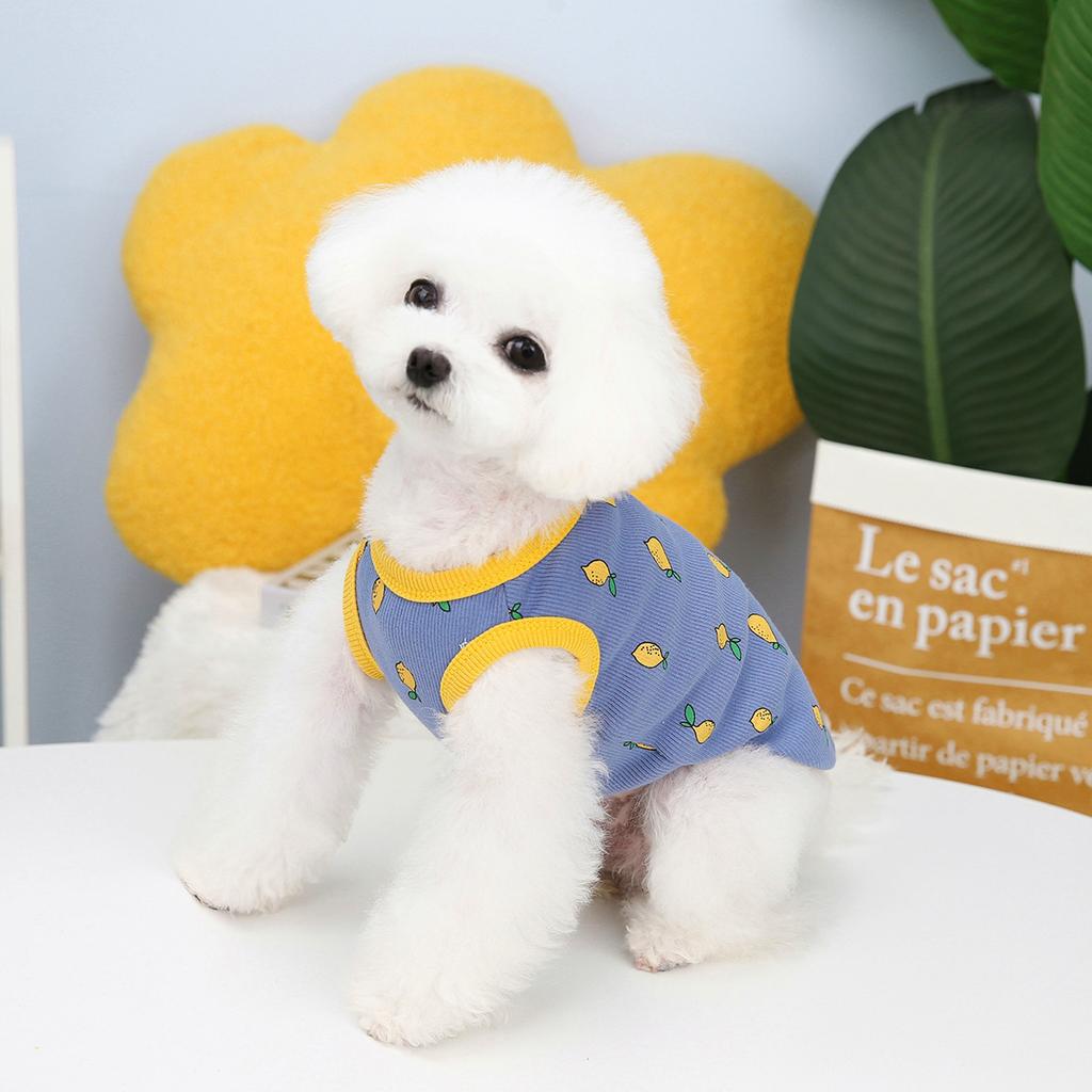 Dog Clothes Spring and Autumn Cartoon Cat Small Dog Clothing Lemon Vest