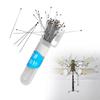 100pcs Stainless Steel Specimen Pins Insect Pins  For School Lab Education Entomology Body Dissection Positioning Insect Needle