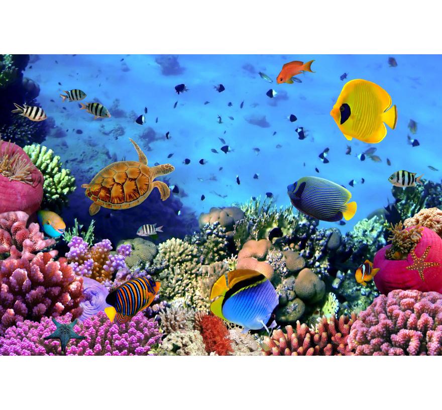 Underwater World Fish Coral Aquarium Theme Photography Backdrop, Children's Birthday Party, Home Decoration Photography Backdrop