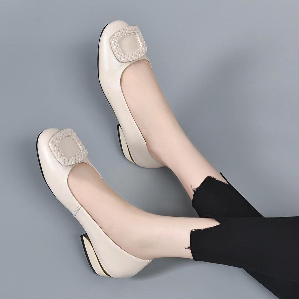 Low Heel Shallow Mouth Single Shoes Women's Spring and Autumn New Thick Heel Soft Sole Comfortable Square Head Women's Leather Shoes Women