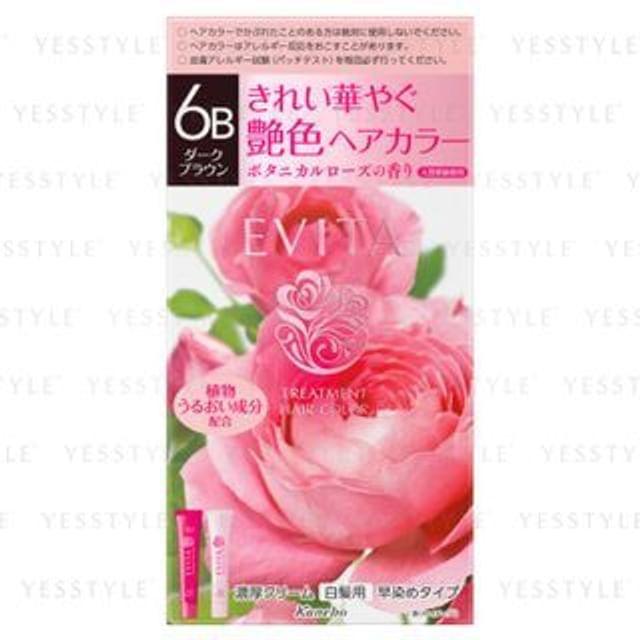 

Kanebo - Evita Treatment Hair Color 6B Dark Brown 45g + 45g