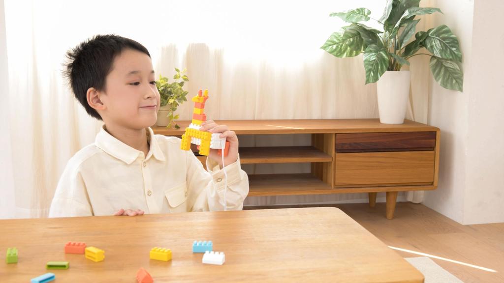 Kawada Diamond Blocks S (YE-EDU015) - Perfect Christmas Gift Easy-to-Move Building Blocks for Imagination, Robots, Animals, and Vehicles by Kurikit