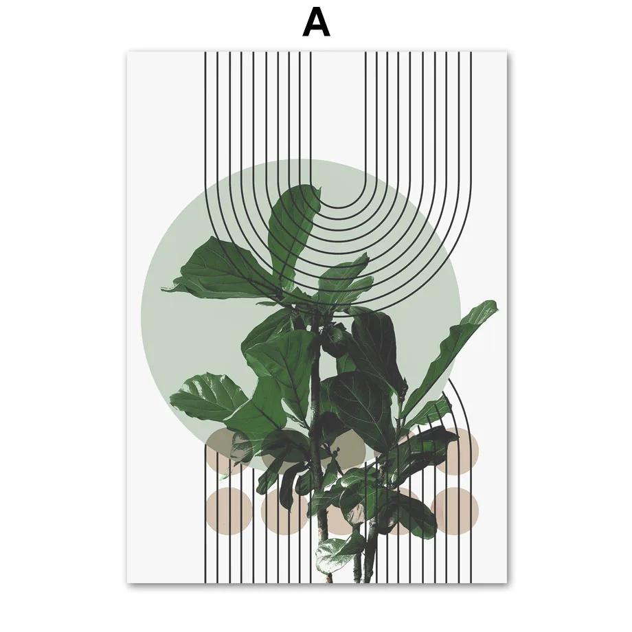 

Abstract Geometry Arched Line Girl Blade Green Art Nordic Posters, Wall Prints, Canvas Painting, Pictures for Living Room Decor 21x30cm No Framed