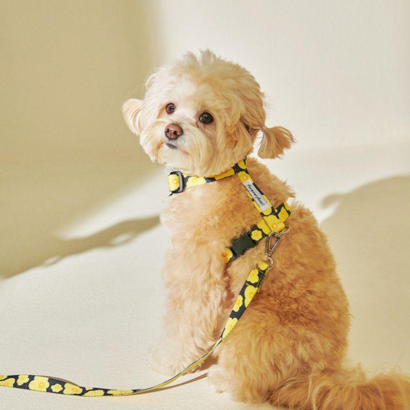 Foreverybari Pansy Harness_yellow