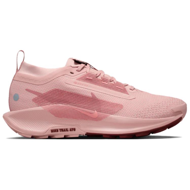Nike Pegasus Trail 5 GTX Rosa FQ0912-601