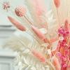Bouquet of dried flowers pink and white, table centerpieces for weddings, natural pampas grass, real northern gypsophila