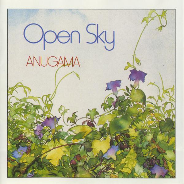 

CD ANUGAMA - Open sky NGHCD309 Nightingale Rec 1989 Germany Dance & Electronica Used