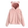 European and American-style Winter/fall Plush Hoodie with Rabbit Ear Design, Warm and Stylish Sweatshirt