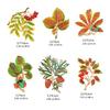 Artistic Enamel Autumn Leaf Pin Jewelry Combining Vintage Aesthetics and Natural Accent for a Distinctive Look