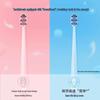 Shuke Wide Head Soft Bristle Toothbrush Twin Pack