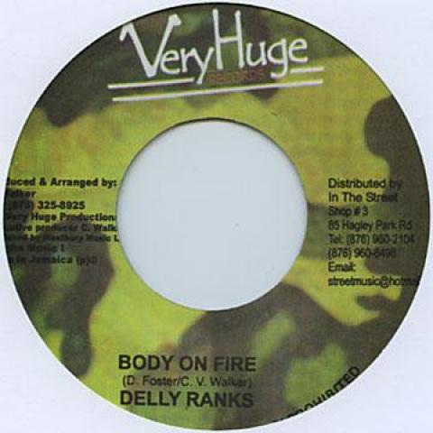

7-дюймовая пластинка DELLY RANKS / EINSTEIN - Body On Fire / Style Very Huge 2006 Ямайка Регги, Ска и Даб