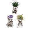 Bulldogge Hund Pflanzgefäß Lustiger Mittelfinger Hund Harz Blumentopf Niedliche Tierform