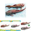 Dinosaur Marine Model For Kids Pvc Dunkleosteus Ocean Life Educational Toy