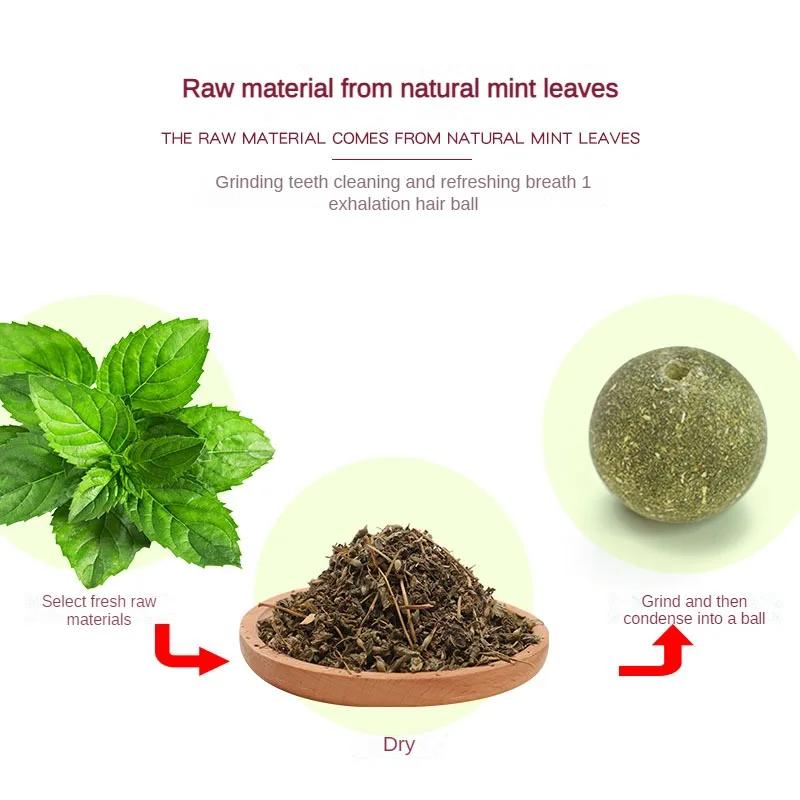 Škrabadlo na trávu pro kočky Produkty pro domácí mazlíčky Kočičí doplňky Přírodní šanta kočičí Zdravé misky Škrabadlo Pamlsky Hračky Nástěnná lepkavá koule