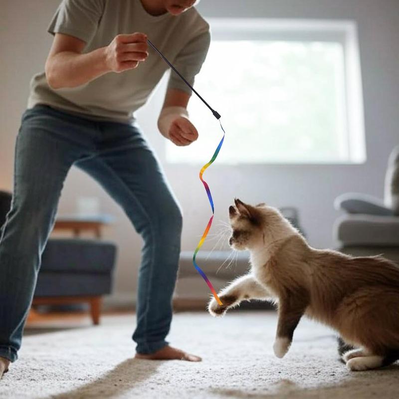 Interactive Coloured Ribbon Cat Toys Teasing Catd Stick Satin Ribbon Cat Stick Toys Kitten Playing Teaser Wand Toy Pet Supplies