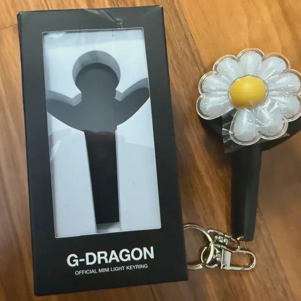 

Gd Keyring Simple Opening